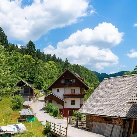 Rudnica House * Bohinj